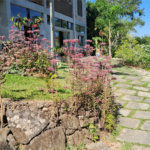 Chácara à venda com 4 quartos em Mato Dentro, Mairiporã, SP
