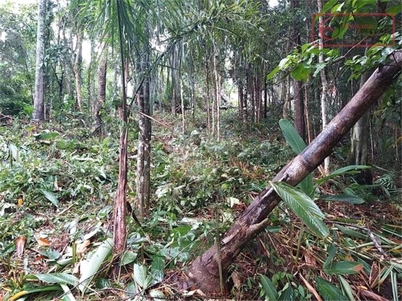Terreno à venda em Serra da Cantareira, Mairiporã, SP