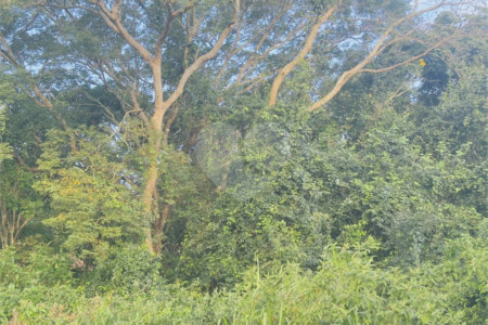 Terreno à venda em Caravelas, Armação dos Búzios, RJ