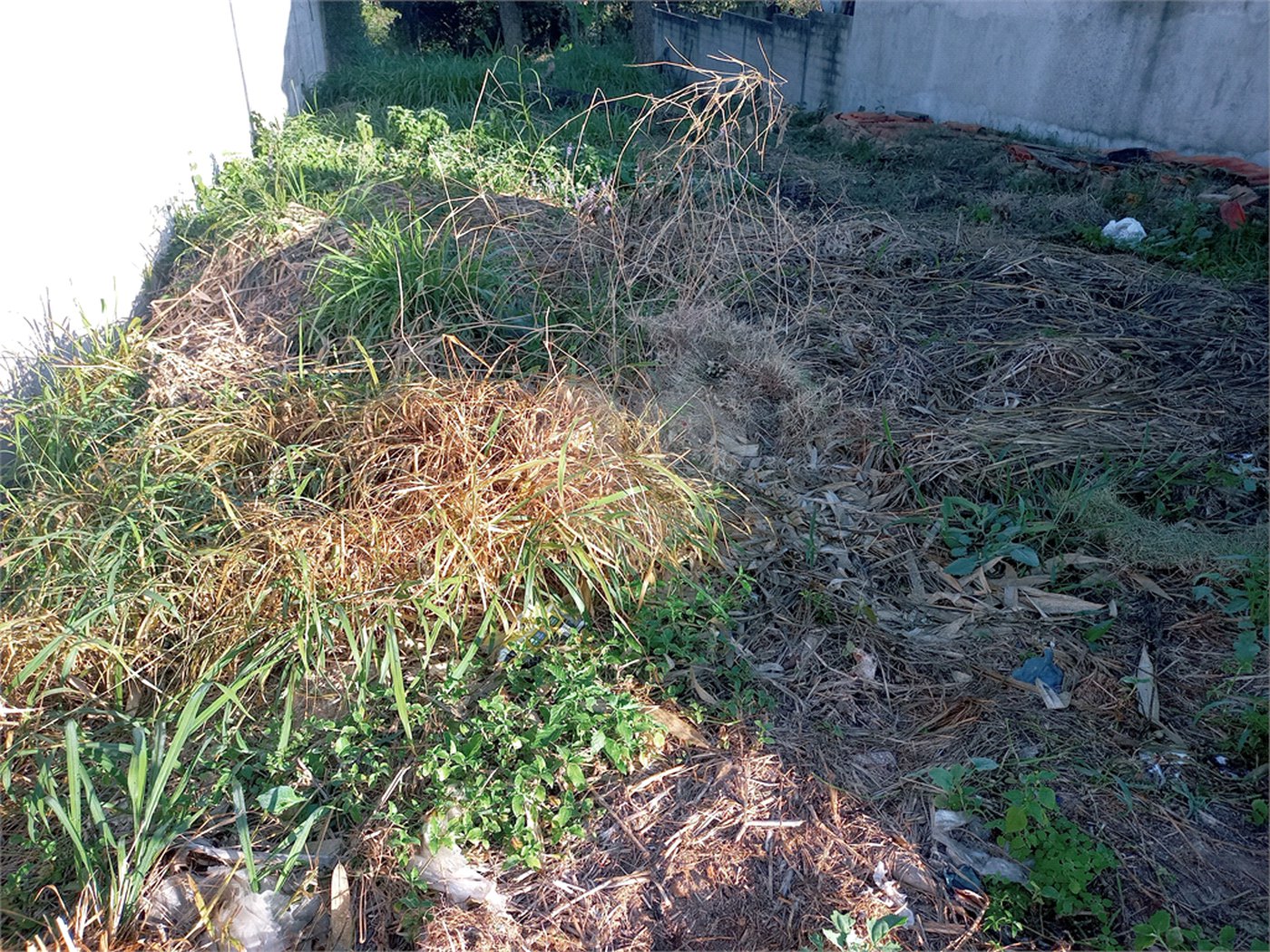 Terreno à venda em João Xxiii, Vinhedo, SP