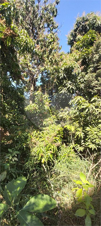Casa térrea no Centro