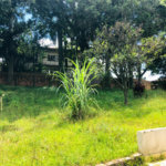 Terreno à venda em Tremembé, São Paulo, SP