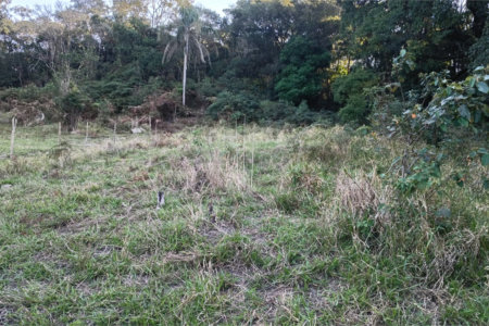 Terreno à venda em Vila Darcy Penteado (mailasqui), São Roque, SP