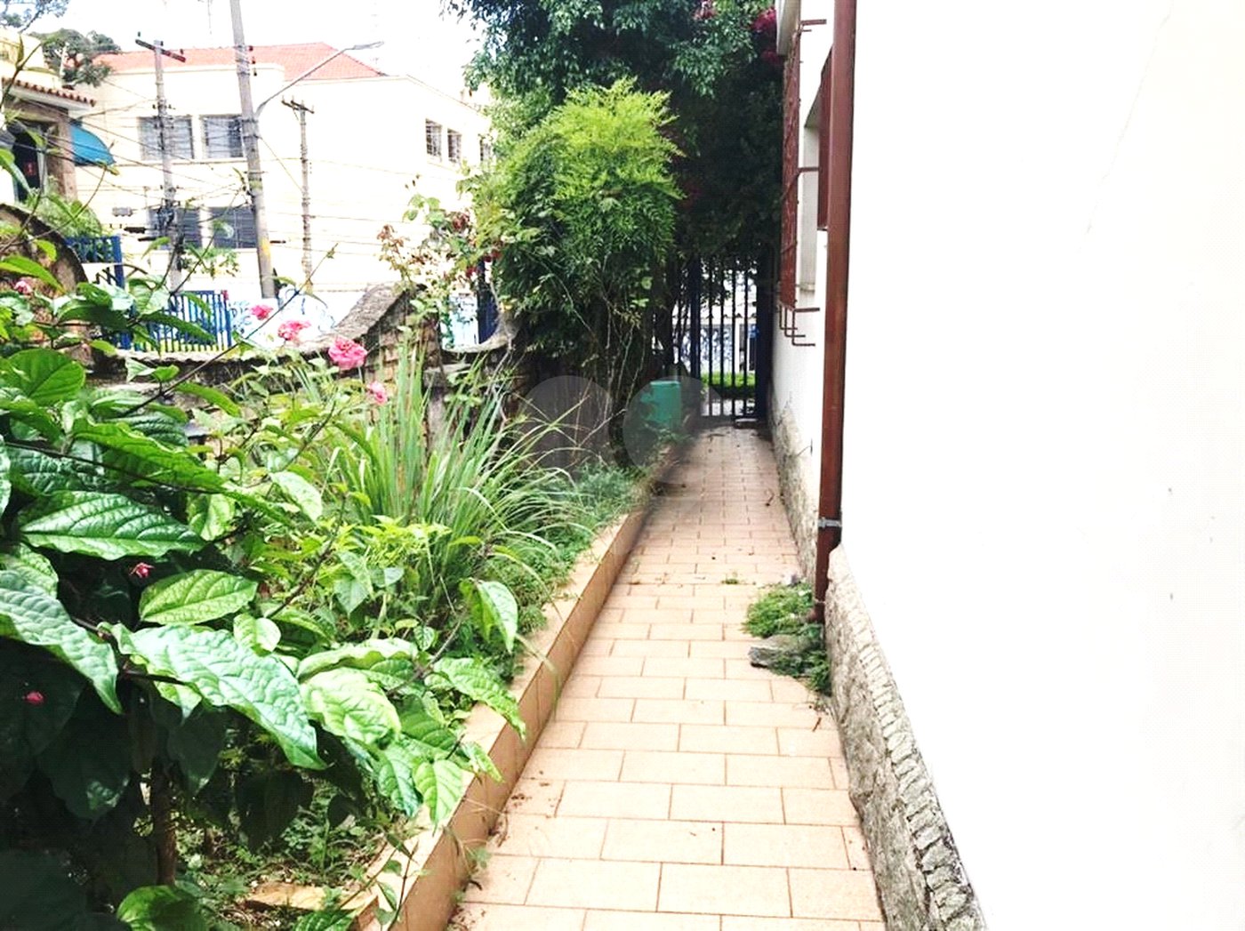 Sobrado à venda com 5 quartos, sendo 1 suíte, em Santana, São Paulo, SP