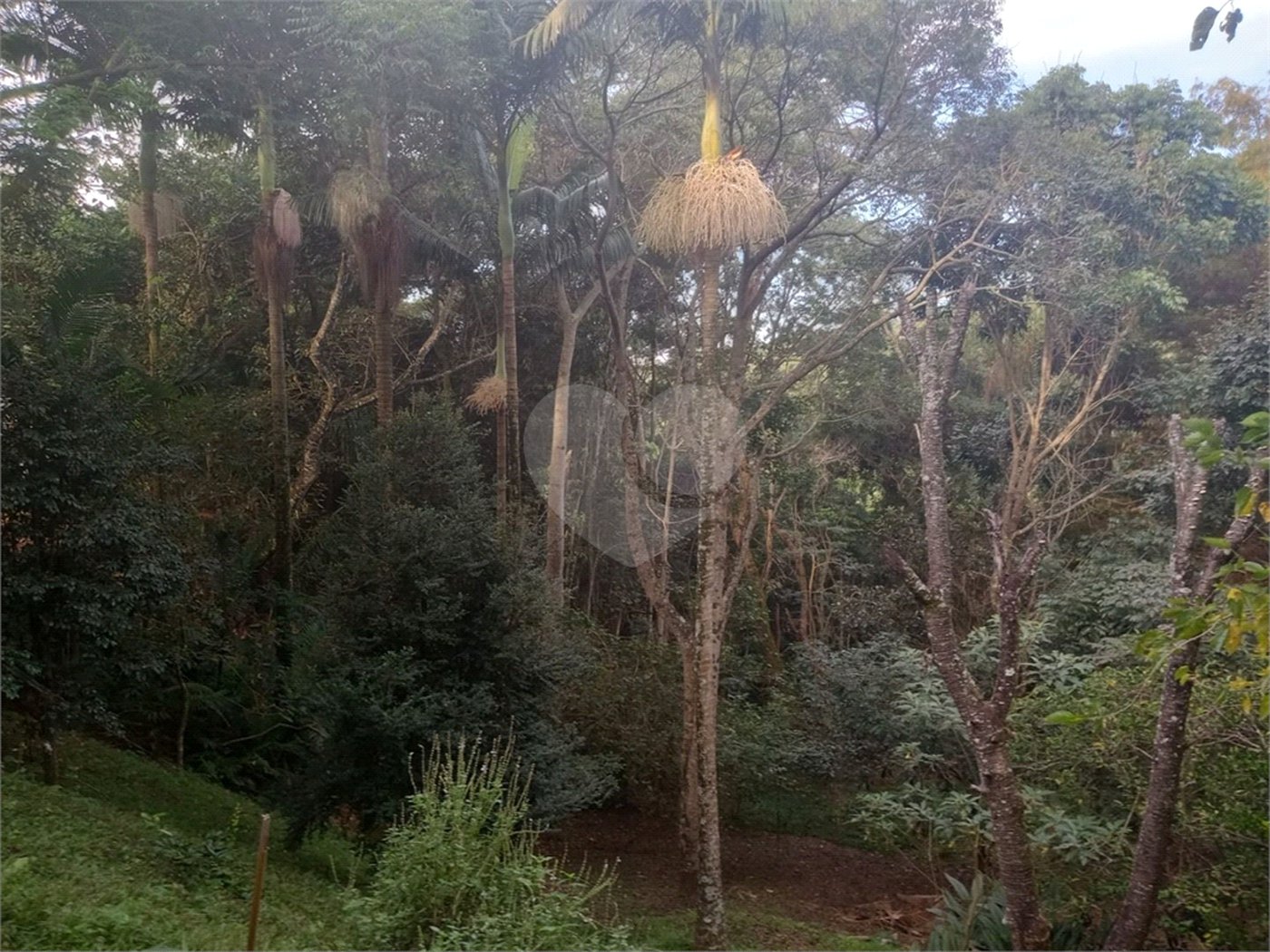 Chácara à venda com 7 quartos, sendo 3 suítes, em Saboó, São Roque, SP