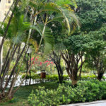 Apartamento à venda com 2 quartos em Bela Vista, São Paulo, SP