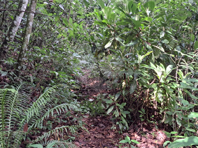 Terreno à venda no condomínio Campos de Mairiporã Gleba 1, Mairiporã - SP