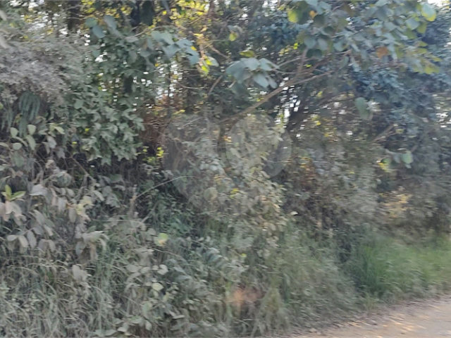 Terreno à venda em Luiz Fagundes, Mairiporã, SP