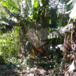 Terreno à venda em Casa Verde, São Paulo, SP