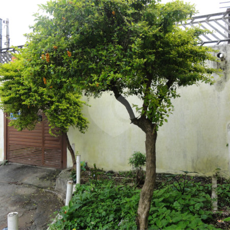 Casa à venda com 5 quartos, sendo 2 suítes, em Vila Medeiros, São Paulo, SP