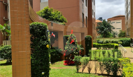 Apartamento à venda com 3 quartos, sendo 1 suíte,  em Cambuci, São Paulo, SP