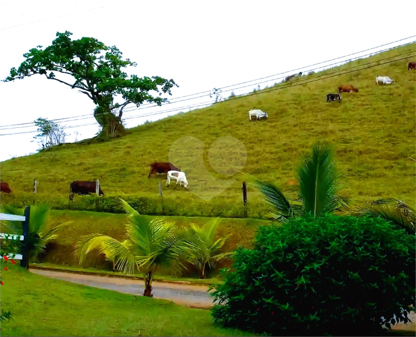 Fazenda à venda em Eugênio de Mello, São José dos Campos, SP