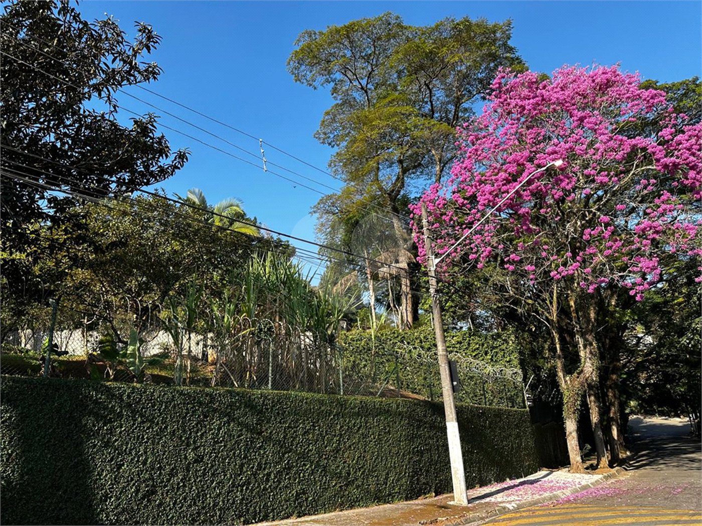 Casa à venda com 5 quartos, sendo 3 suítes, em Morumbi, São Paulo, SP