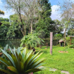 Casa à venda com 4 suítes em Roseira, Mairiporã, SP