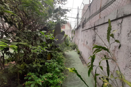Sobrado à venda com 3 quartos, sendo 1 suíte, em Jardim São Paulo(zona Norte), São Paulo, SP