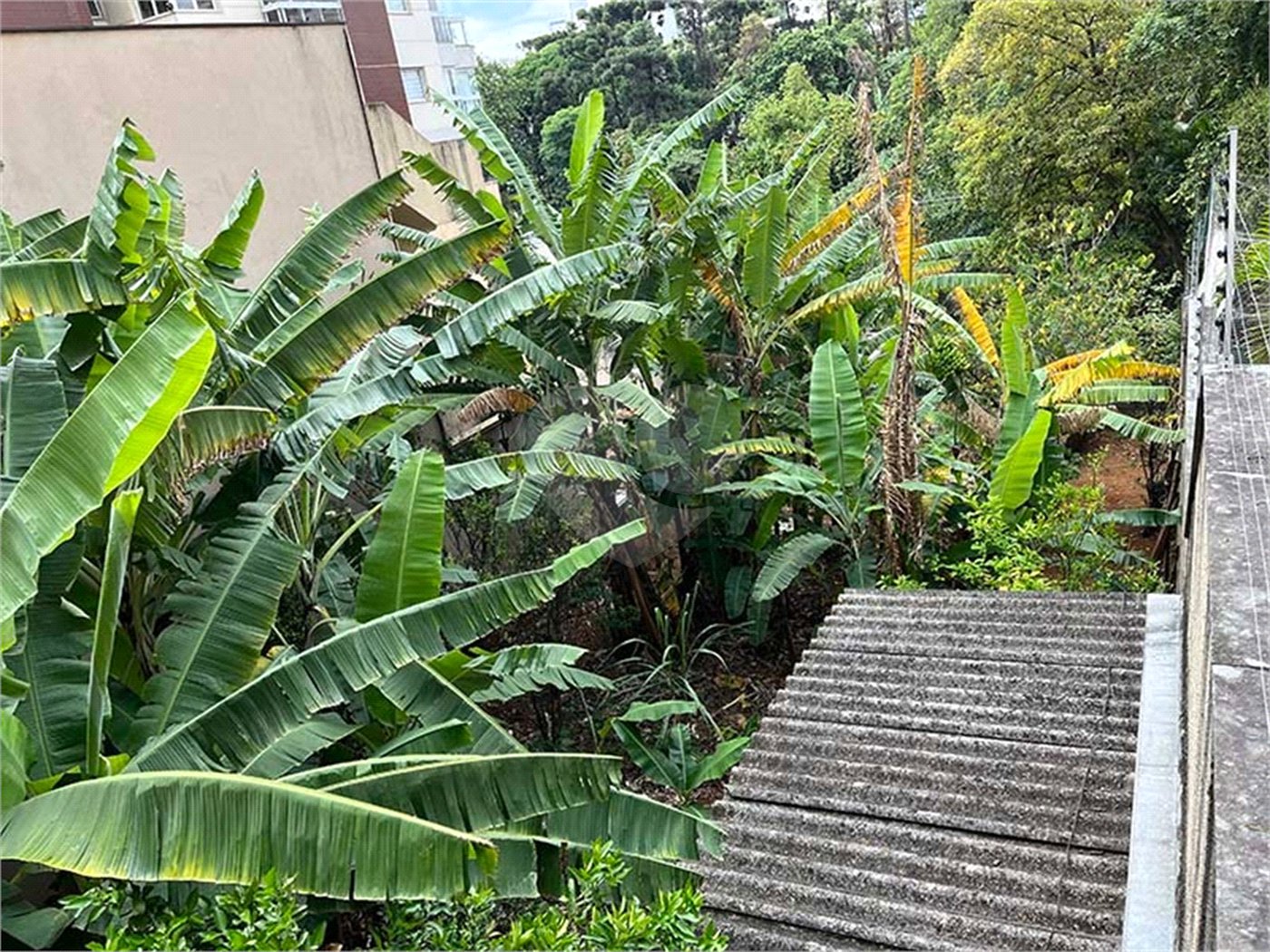 Terreno à venda em Santana, São Paulo, SP