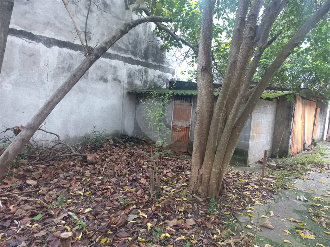 Terreno à venda em Tucuruvi, São Paulo, SP