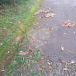 Terreno à venda no condomínio Associação Reserva das Hortênsias, Mairiporã - SP