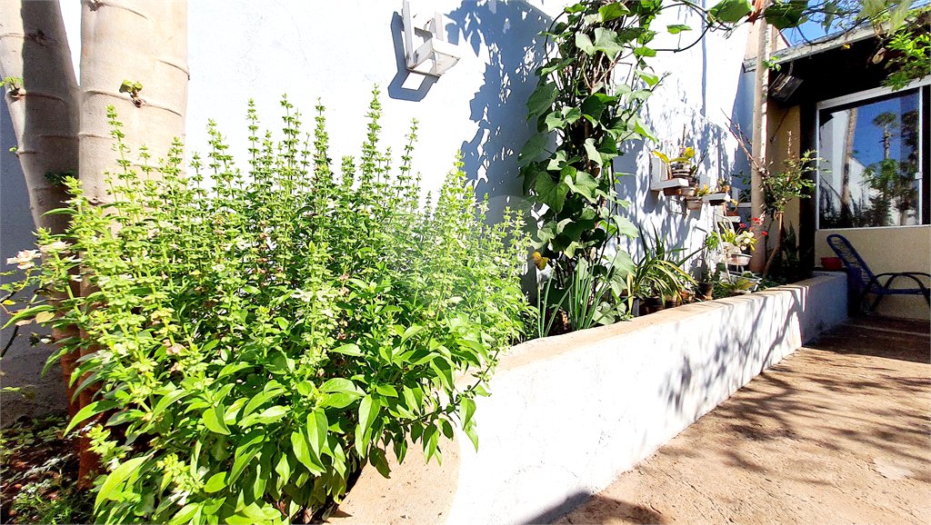 Casa à venda com 2 quartos, sendo 1 suíte, em Vila Albertina, Ribeirão Preto, SP