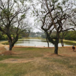 Terreno à venda no condomínio Residencial Arboretum, Vinhedo - SP
