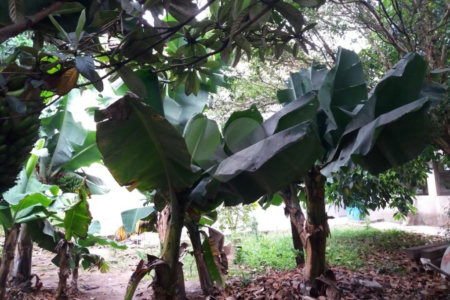 Casa à venda com 4 quartos, sendo 1 suíte,  em Jardim Helga, São Paulo, SP