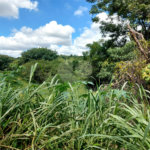 Terreno à venda em Abadia, Louveira, SP