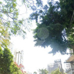 Apartamento à venda em Liberdade, São Paulo, SP