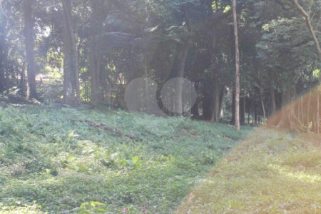 Terreno à venda no condomínio Chácara Flora, São Paulo - SP