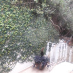 Sobrado à venda com 3 quartos, sendo 1 suíte, em Água Fria, São Paulo, SP