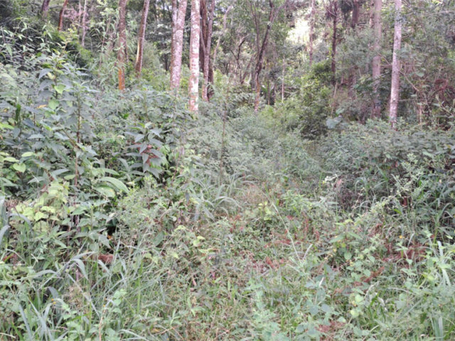Área de Terra à venda em Terra Preta (terra Preta), Mairiporã, SP