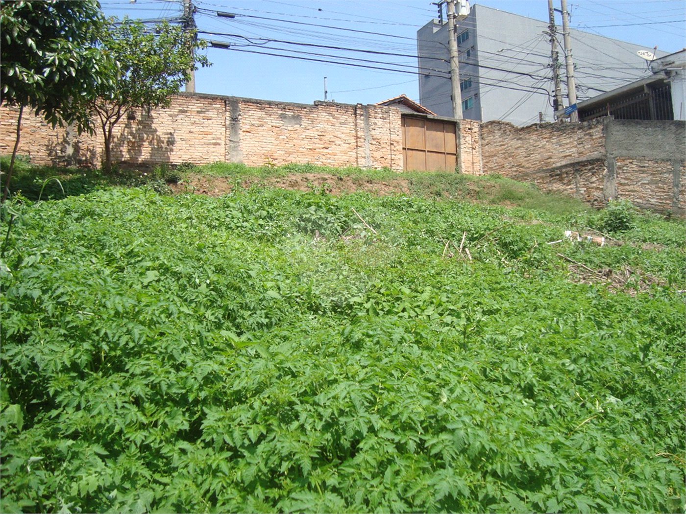 Terreno à venda em Casa Verde, São Paulo, SP