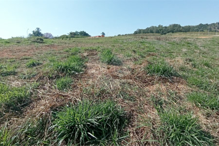 Terreno à venda com 1 suíte em Jardim Portugal, Valinhos, SP