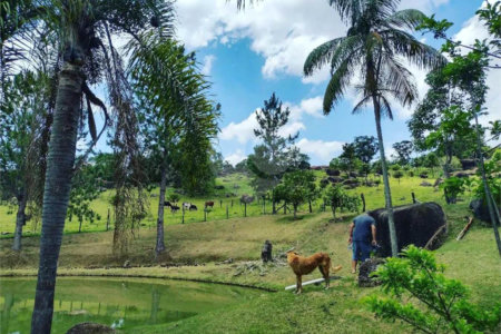 Excelente imóvel rural na cidade de Piedade/SP