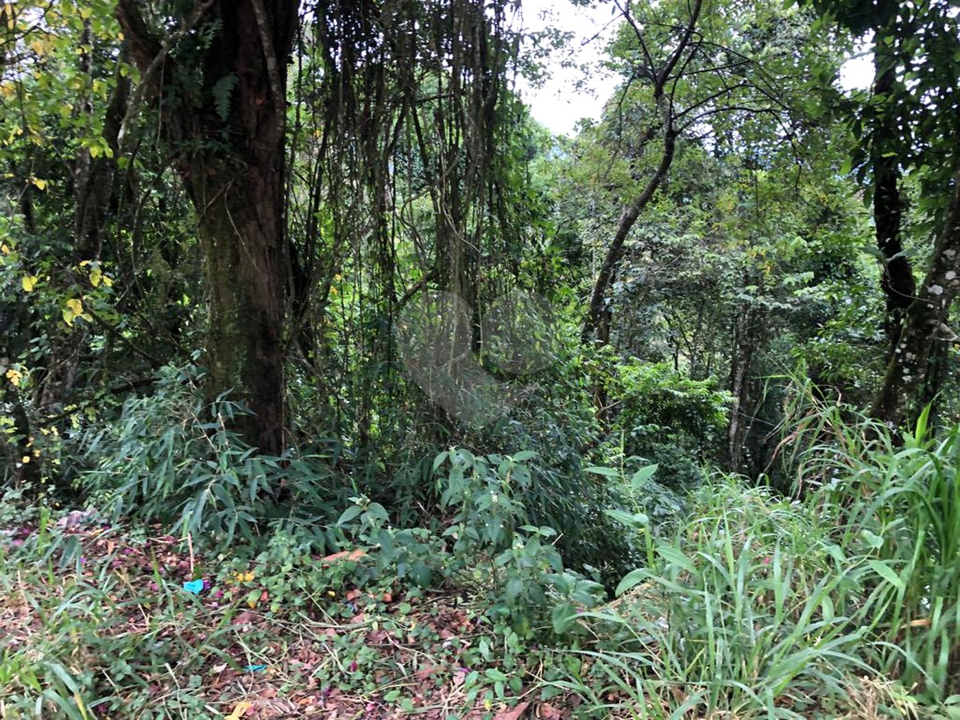 Terreno à venda no condomínio Gleba E1 E2, Mairiporã - SP