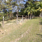 Sítio à venda com 3 quartos em Bairro do Cambará, São Roque, SP