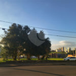 Oportunidade Rara! Área de 1.560 m² no Jardim Paulista – São Carlos/SP