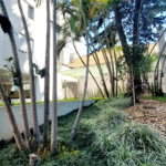 Apartamento para alugar com 3 quartos, sendo 1 suíte, em Casa Verde, São Paulo, SP