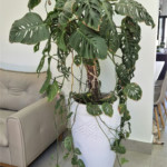 Casa em condomínio à venda com 3 suítes em Parque Ecoresidencial Fazenda Jequitibá, Sorocaba, SP