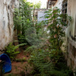 Terreno à venda com 3 quartos no condomínio Terreno com Casa, São Paulo - SP