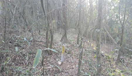 Terreno à venda em Serra da Cantareira, Mairiporã, SP