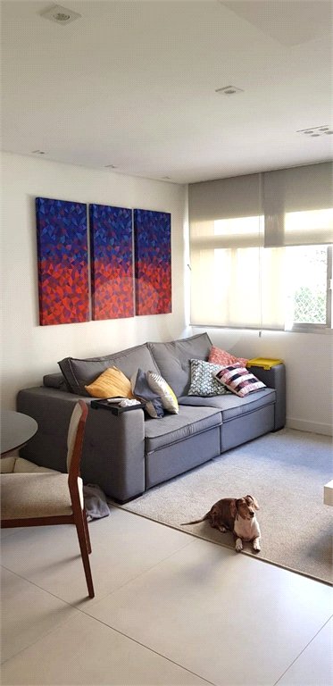 Apartamento à venda com 3 quartos, sendo 1 suíte, em Moema, São Paulo, SP