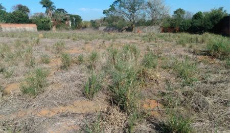 Terreno à venda em Jardim Colombo, Itapetininga, SP