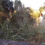 Terreno à venda em Chácara Flora, São Paulo, SP