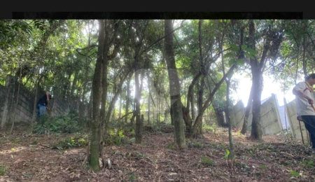 Terreno à venda em Jardim Peri Peri, São Paulo, SP