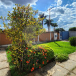 Casa à venda com 4 suítes em Vila Harmonia, Araraquara, SP