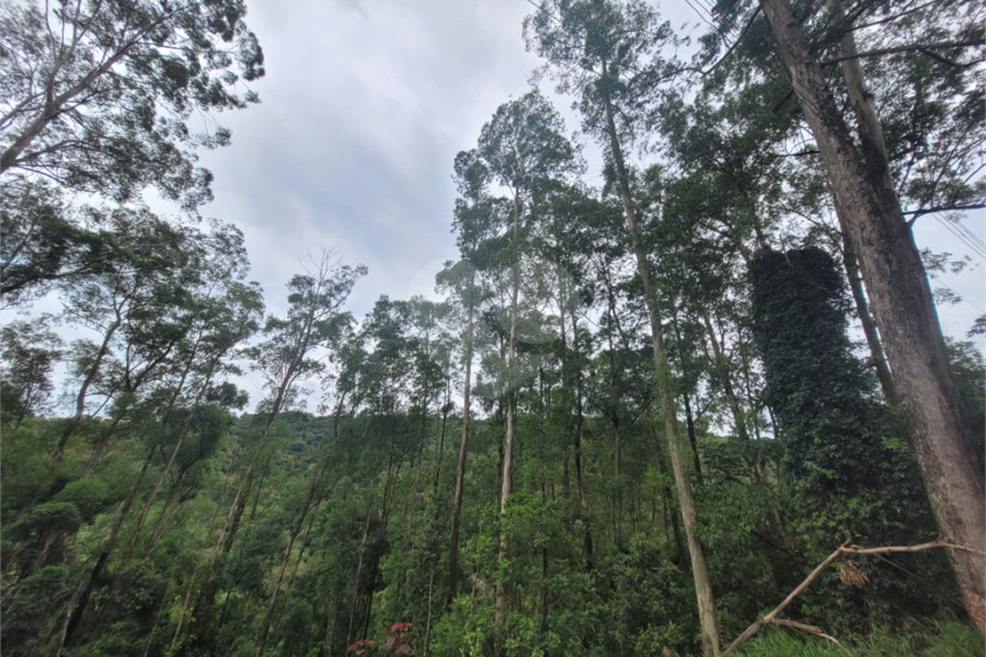 Terreno à venda no condomínio Parque Petrópolis 4 Secção, Mairiporã - SP