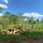 Área de Terra à venda no Centro Empresarial e Industrial Omar Maksoud, Araraquara, SP