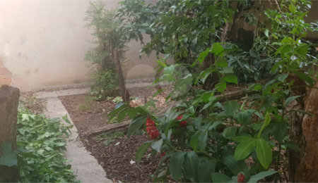 Sobrado à venda com 3 quartos, sendo 1 suíte,  em Vila Nova Cachoeirinha, São Paulo, SP