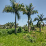 Terreno à venda em Estância Hidromineral Santa Eliza, Itupeva, SP