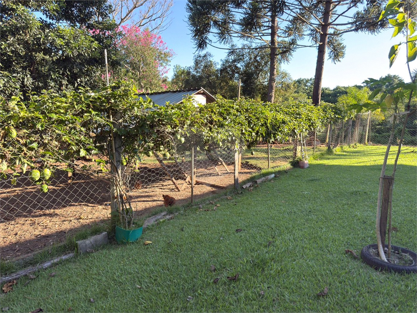Chácara à venda com 4 quartos, sendo 3 suítes,  em Vila Recreio, Itapetininga, SP